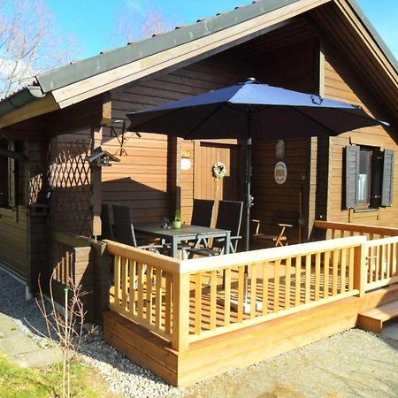 Komfortables-Ferienblockhaus-Nr-27-56-Qm-Bis-4-Personen-Viechtach-Jaegerpark Екстериор снимка